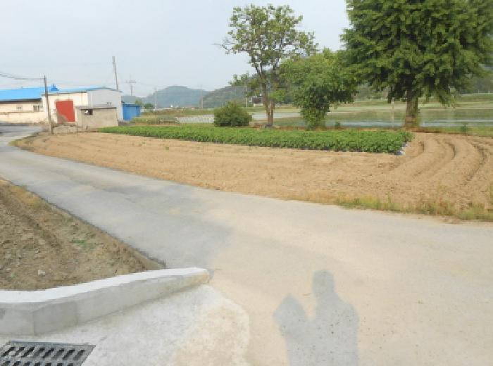 세종특별자치시 전동면 보덕리 388-5 답 경매 사진 5