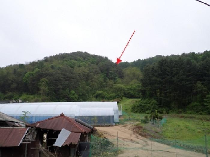 강원특별자치도 횡성군 둔내면 자포곡리 산195-14 임야 경매 사진 2
