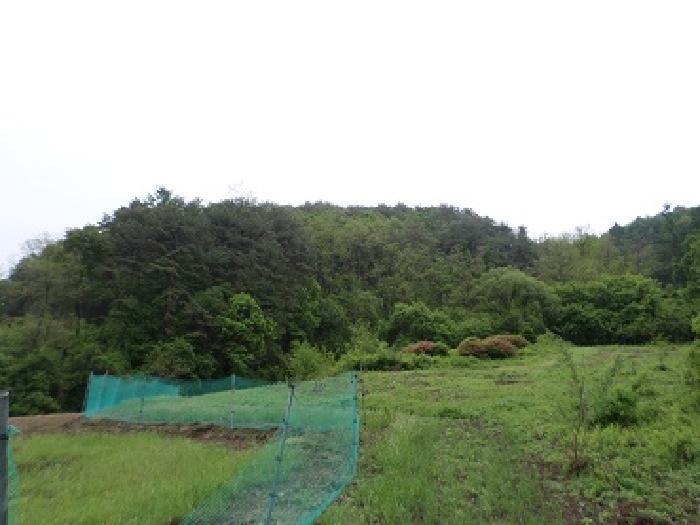 강원특별자치도 횡성군 둔내면 자포곡리 산195-14 임야 경매 사진 3