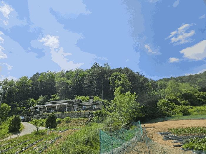 강원특별자치도 횡성군 둔내면 자포곡리 산195-14 임야 경매 사진 4