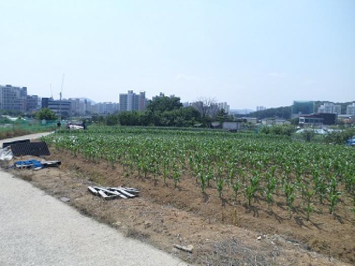 강원특별자치도 원주시 행구동 1655-4 전 경매 사진 12