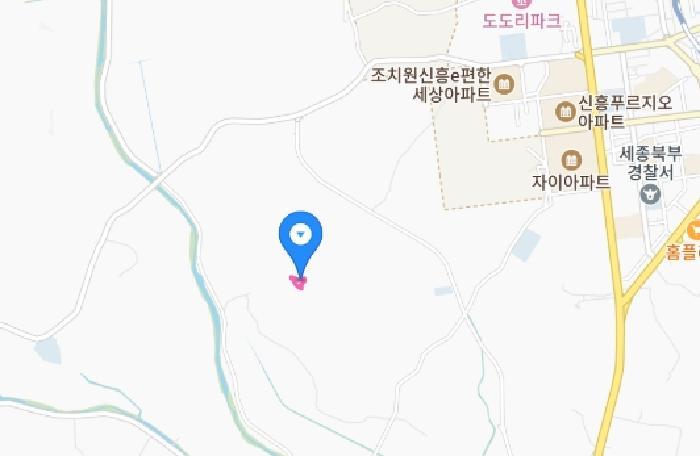세종특별자치시 연서면 쌍전리 419-5 과수원 경매 사진 9