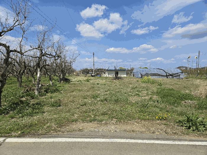 경상북도 경산시 압량읍 백안리 67 전 경매 사진 9
