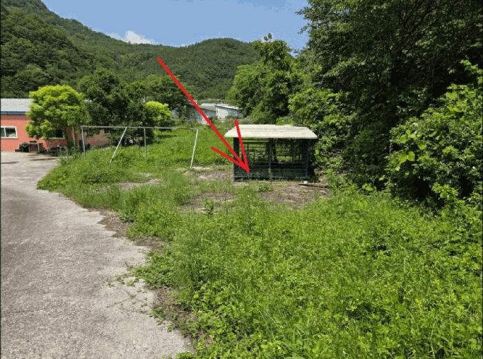 경상북도 청도군 금천면 소천리 597 공장 경매 사진 1