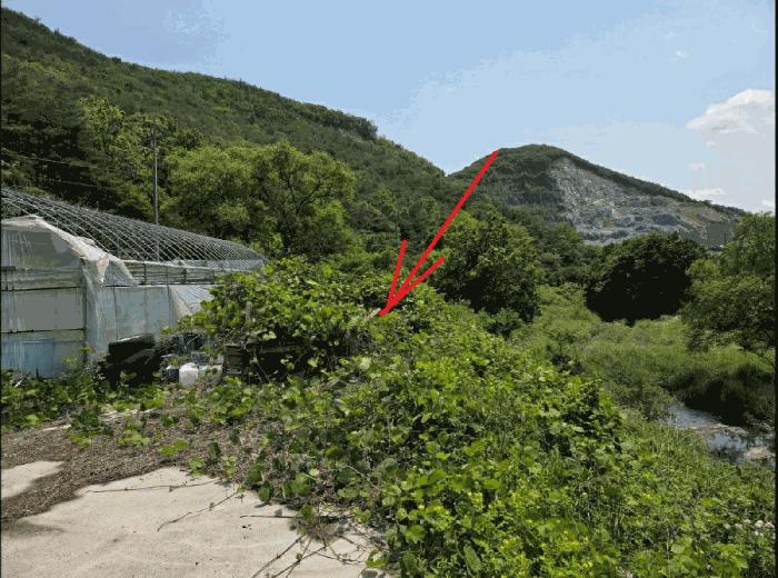 경상북도 청도군 금천면 소천리 597 공장 경매 사진 16