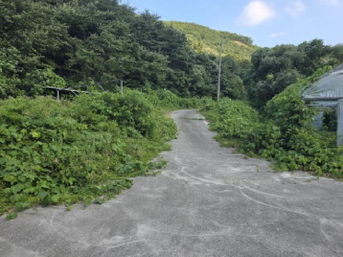 경상북도 청도군 금천면 소천리 597 공장 경매 사진 20