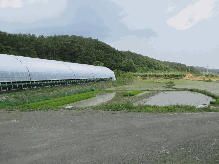 경상북도 영천시 화산면 화산리 211 답 경매 사진 1