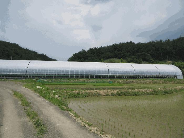 경상북도 영천시 화산면 화산리 211 답 경매 사진 3
