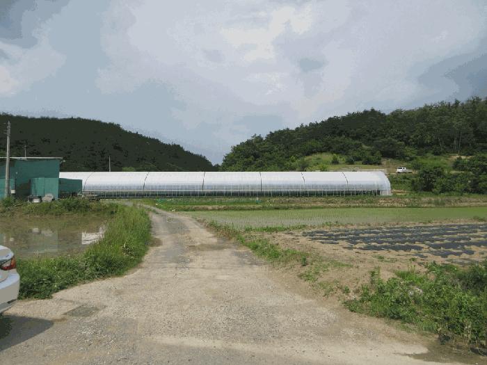 경상북도 영천시 화산면 화산리 211 답 경매 사진 6