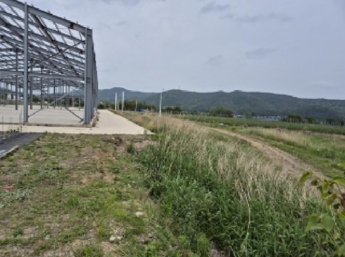 경상북도 포항시 북구 신광면 안덕리 275 답 경매 사진 5