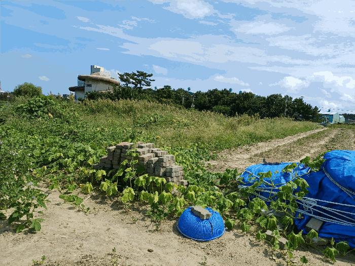 경상북도 포항시 북구 흥해읍 용한리 671-1 전 경매 사진 2