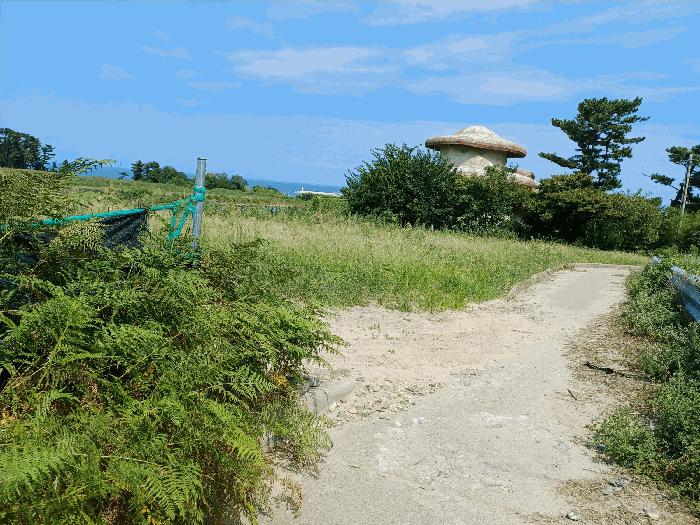 경상북도 포항시 북구 흥해읍 용한리 671-1 전 경매 사진 3