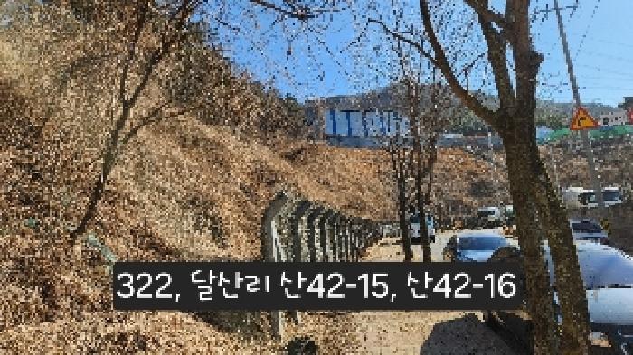 부산광역시 기장군 정관읍 달산리 산42-3 임야 경매 사진 13