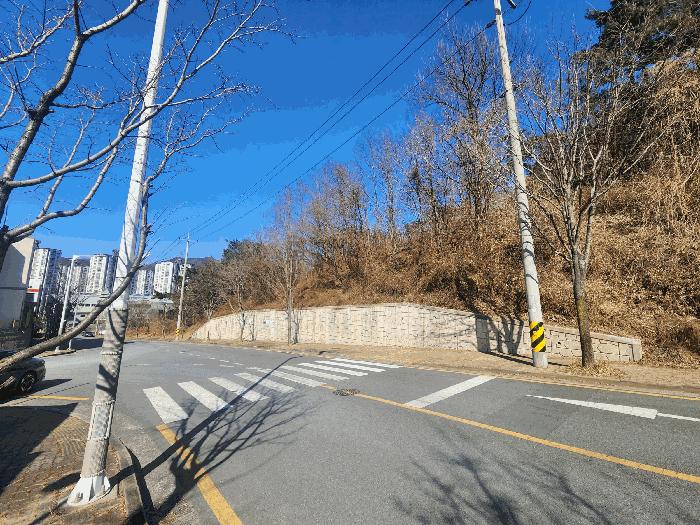 부산광역시 기장군 정관읍 달산리 산42-3 임야 경매 사진 2