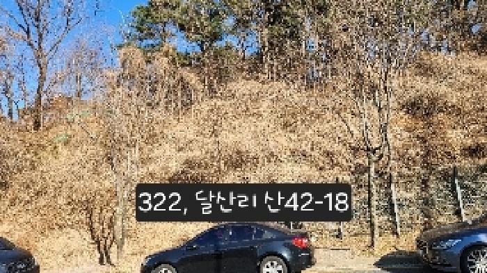 부산광역시 기장군 정관읍 달산리 산42-3 임야 경매 사진 6