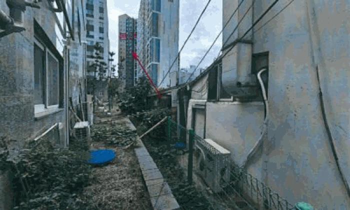 경상북도 포항시 북구 득량동 146-9 주택 경매 사진 2
