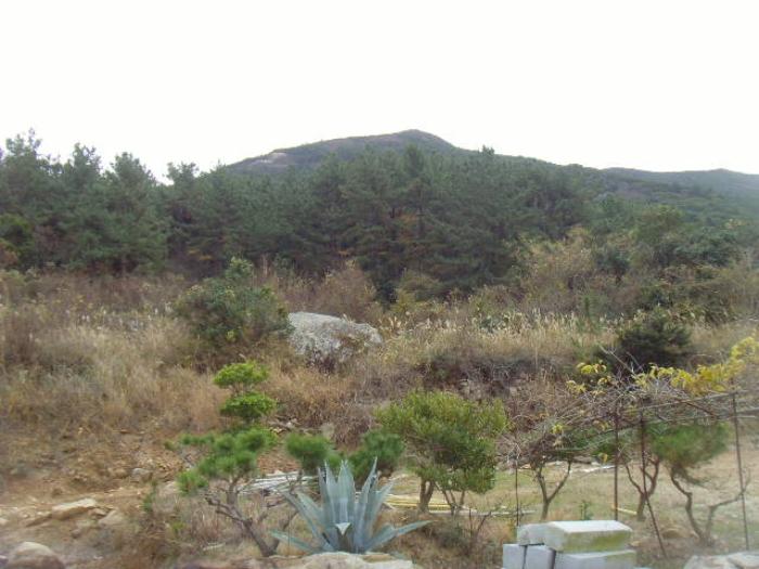 전라남도 완도군 보길면 정자리 496-1 전 경매 사진 12
