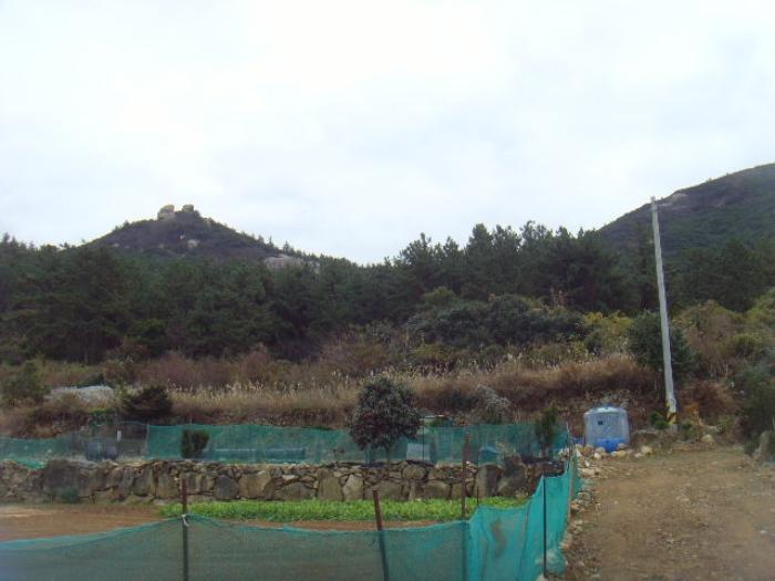 전라남도 완도군 보길면 정자리 496-1 전 경매 사진 13