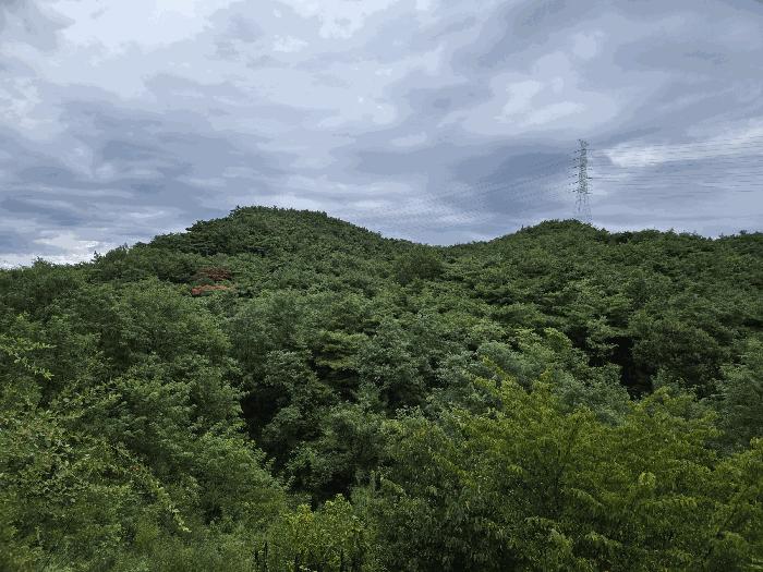 경상북도 포항시 북구 흥해읍 이인리 산10 임야 경매 사진 2