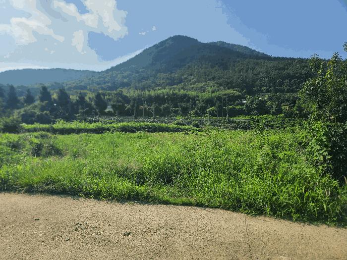 경상남도 고성군 하일면 오방리 54-4 답 경매 사진 1