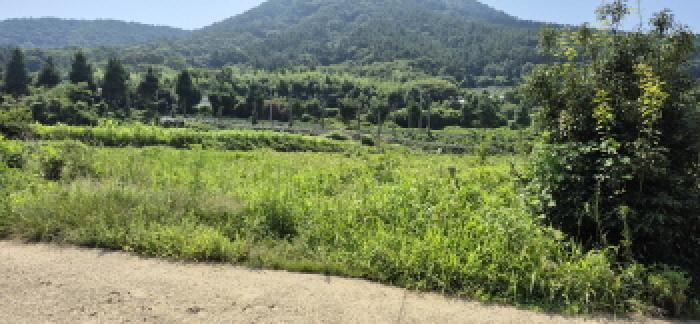 경상남도 고성군 하일면 오방리 54-4 답 경매 사진 10
