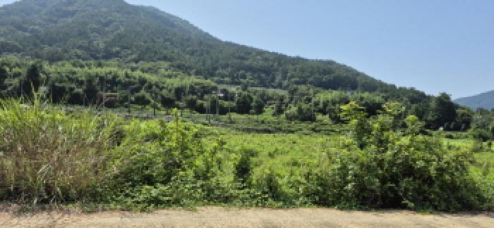 경상남도 고성군 하일면 오방리 54-4 답 경매 사진 13