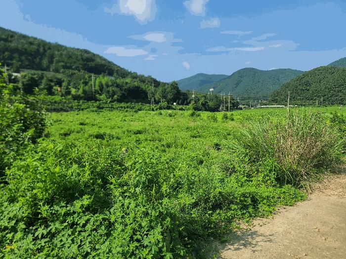 경상남도 고성군 하일면 오방리 54-4 답 경매 사진 2