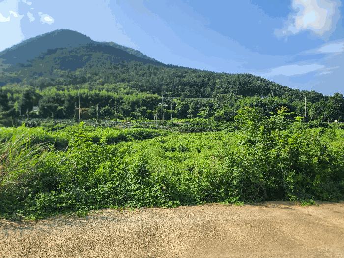 경상남도 고성군 하일면 오방리 54-4 답 경매 사진 3