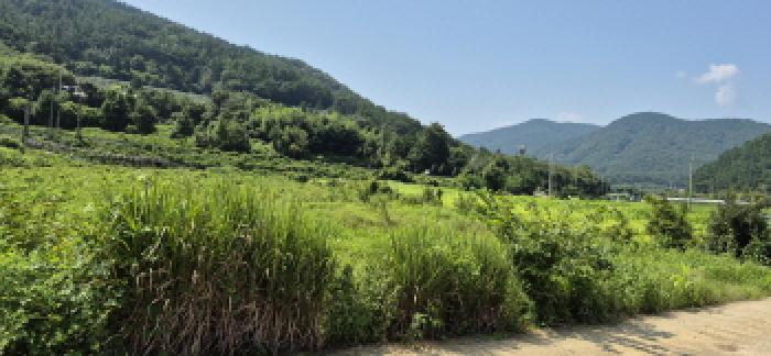 경상남도 고성군 하일면 오방리 54-4 답 경매 사진 7