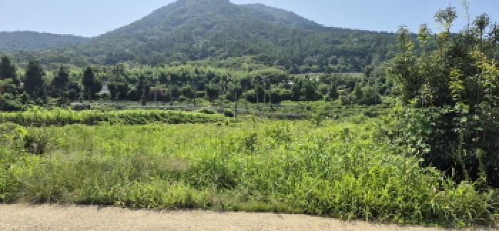경상남도 고성군 하일면 오방리 54-4 답 경매 사진 9