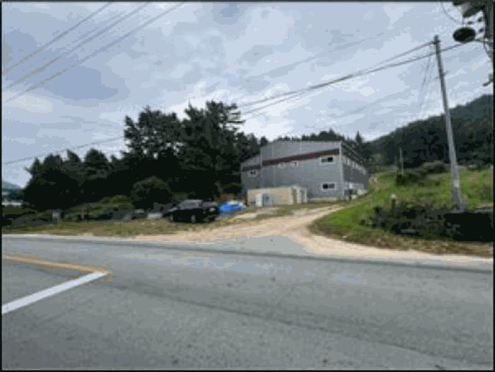 전라남도 완도군 금일읍 장정리 548 잡종지 경매 사진 11