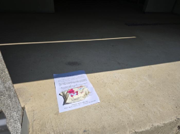 전라남도 완도군 금일읍 장정리 548 잡종지 경매 사진 19