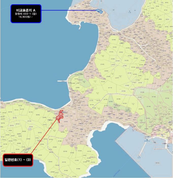 전라남도 완도군 금일읍 장정리 548 잡종지 경매 사진 21