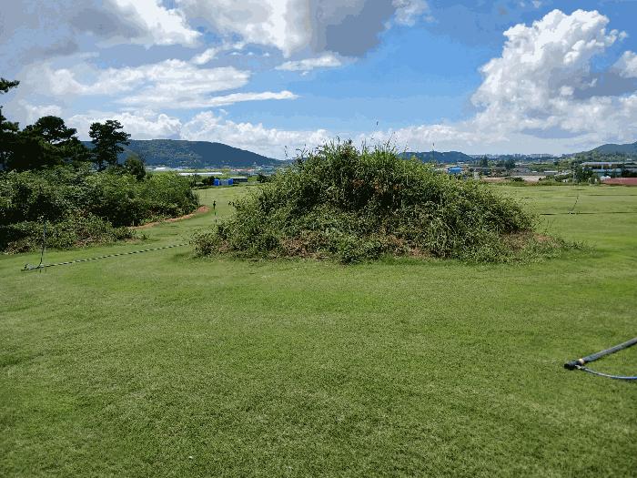 전라남도 무안군 일로읍 용산리 31 전 경매 사진 3