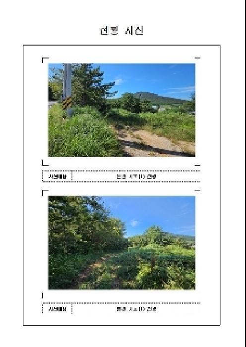 전라남도 신안군 압해읍 대천리 793-36 임야 경매 사진 4