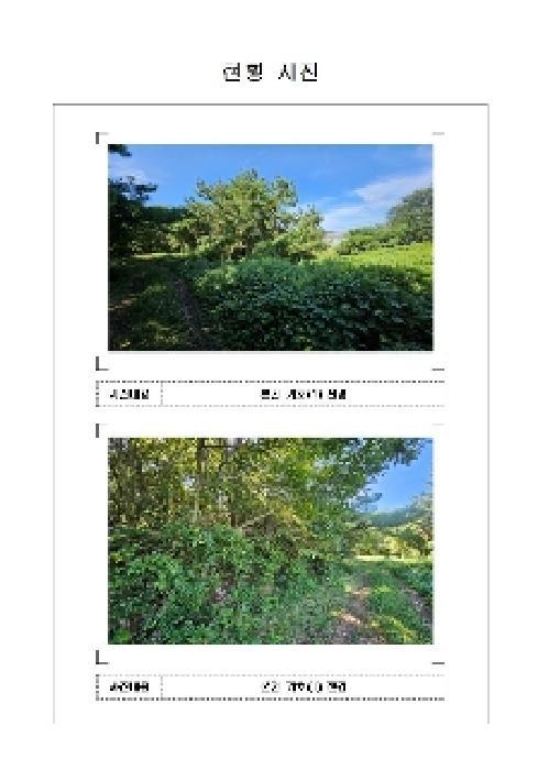전라남도 신안군 압해읍 대천리 793-36 임야 경매 사진 5