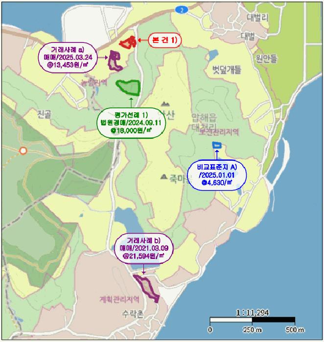 전라남도 신안군 압해읍 대천리 793-36 임야 경매 사진 6