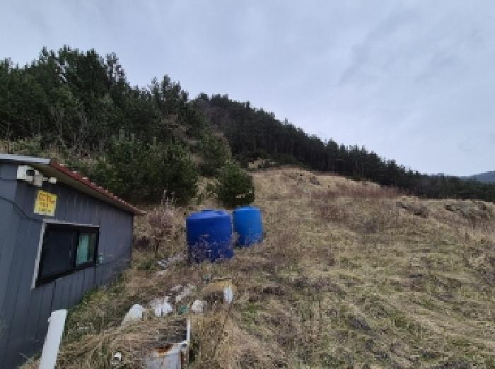 경상북도 울릉군 북면 현포리 618-3 주택 경매 사진 15