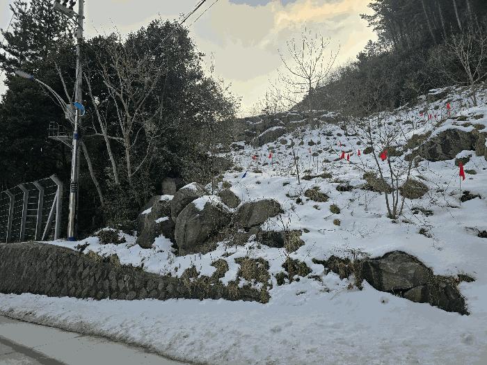 경상북도 울릉군 북면 현포리 618-3 주택 경매 사진 5