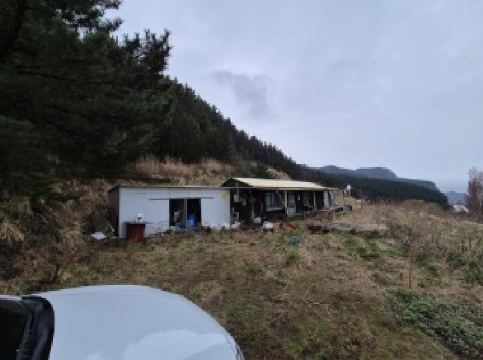 경상북도 울릉군 북면 현포리 617-3 임야 경매 사진 11