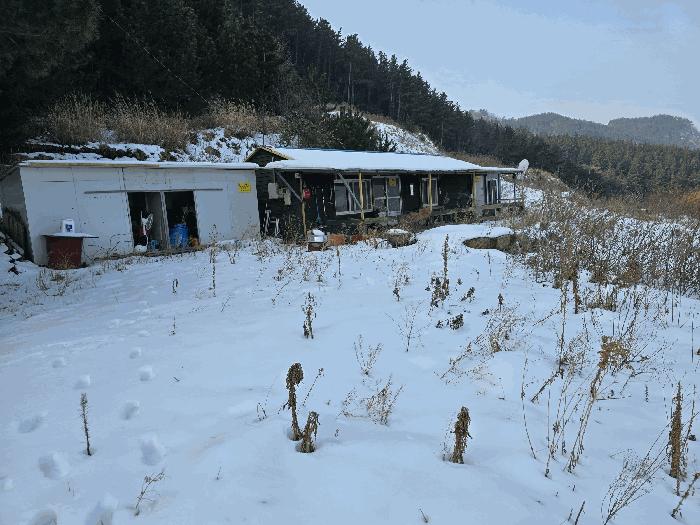 경상북도 울릉군 북면 현포리 618-1 전 경매 사진 9