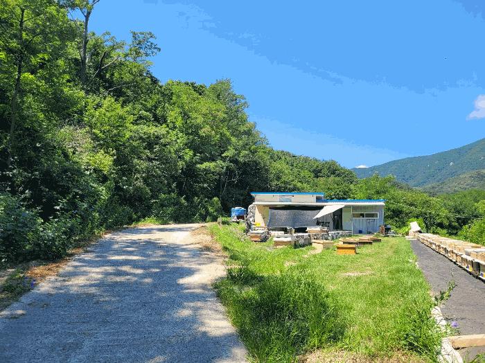 경상북도 포항시 북구 신광면 안덕리 935 전 경매 사진 1