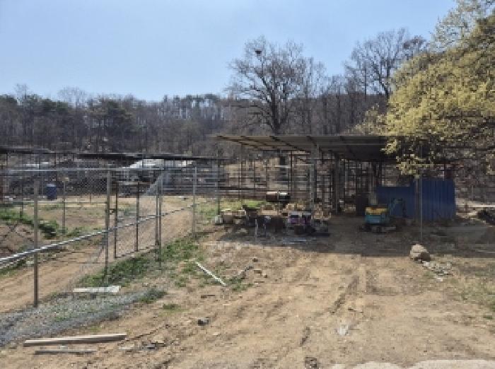 경상북도 포항시 북구 신광면 안덕리 935 전 경매 사진 11