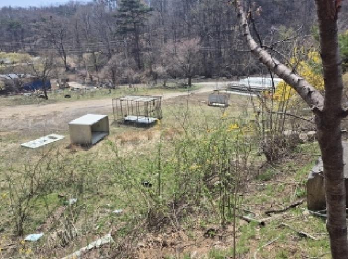 경상북도 포항시 북구 신광면 안덕리 935 전 경매 사진 13