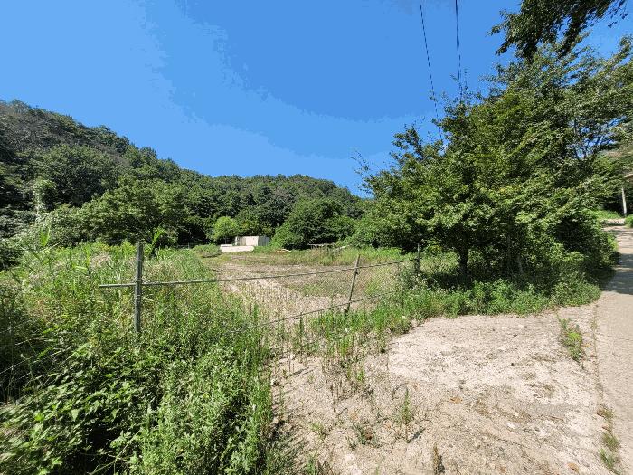 경상북도 포항시 북구 신광면 안덕리 935 전 경매 사진 3
