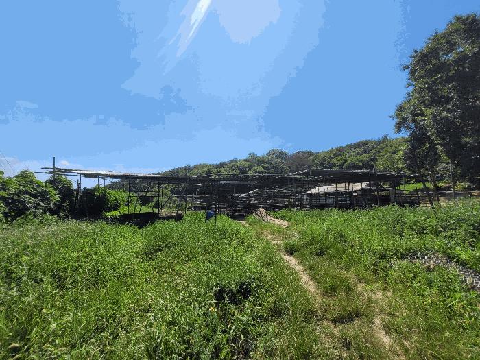 경상북도 포항시 북구 신광면 안덕리 935 전 경매 사진 7