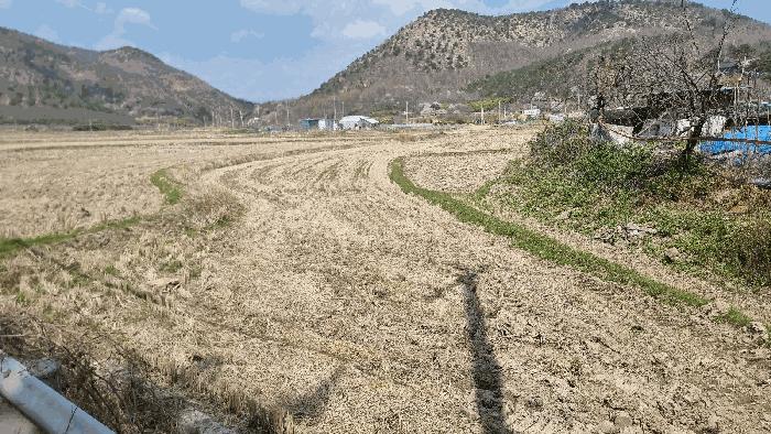경상북도 포항시 북구 흥해읍 칠포리 445-1 답 경매 사진 5