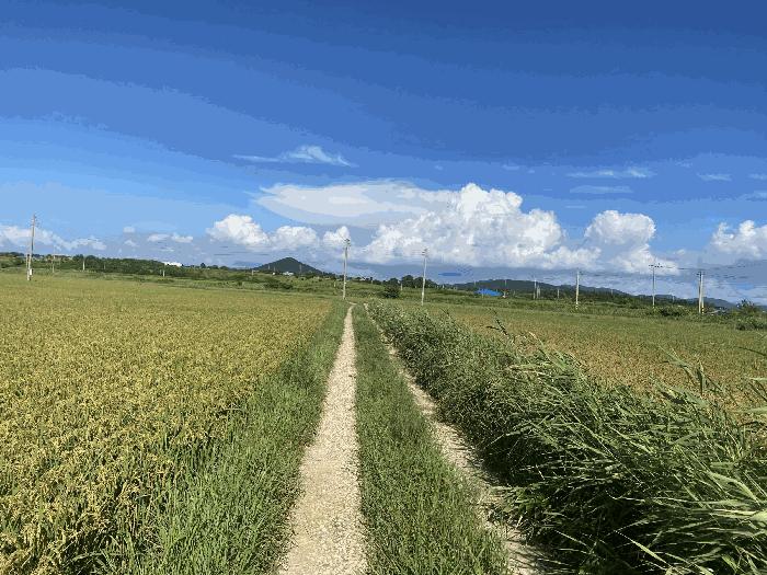 전라남도 무안군 운남면 동암리 1322-23 잡종지 경매 사진 3