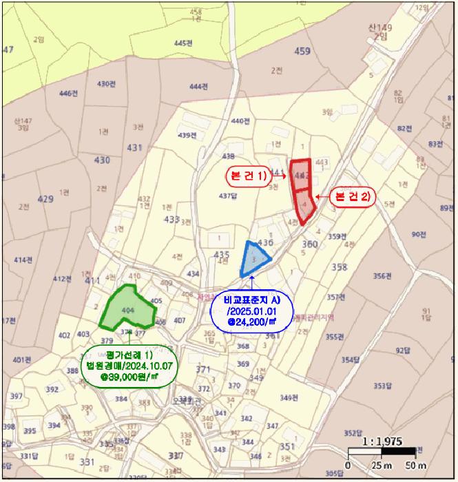 전라남도 영암군 삼호읍 망산리 442-3 대지 경매 사진 12
