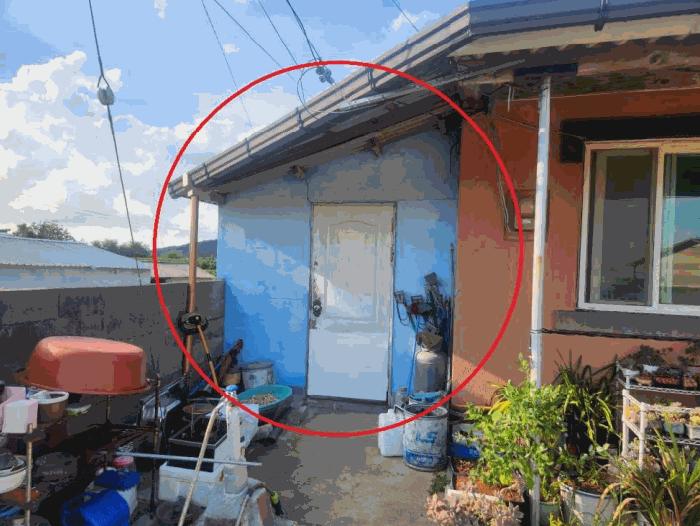전라남도 영암군 삼호읍 망산리 442-3 대지 경매 사진 5